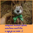 /album/postup-na-zajaca/postup-zajac17-jpg/